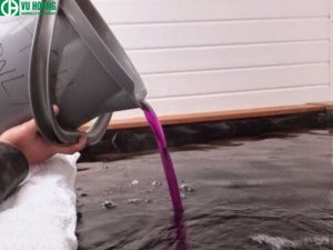 Cách dùng thuốc tím cho cá để khử trùng bể cá 