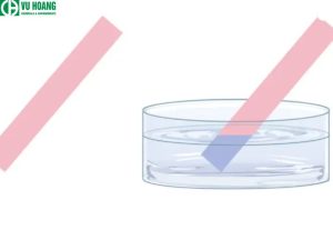 Làm đổi màu quỳ tím