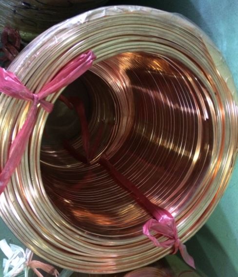 Chọn xe buýt đồng