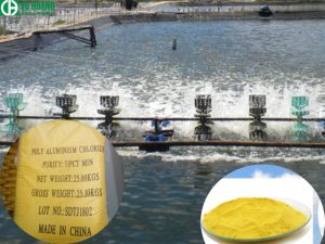 Cải thiện độ trong của môi trường ao nuôi