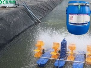 Kali kali tạo oxy cho ao nuôi tôm