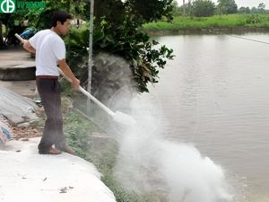 Xử lý ao hồ bằng bột vôi