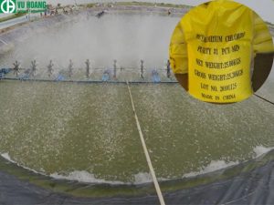 PAC ứng dụng trong nuôi trồng thủy sản