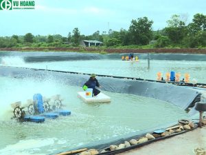 KCL dùng trong nuôi trồng thủy sản