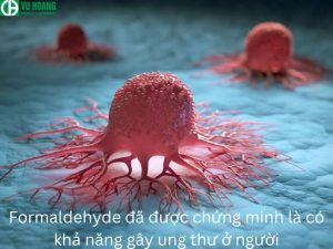 Formaldehyde cũng có thể gây ung thư ở người.