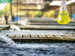 Ứng dụng trong xử lý nước thải
