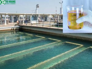 Sử dụng PAC lỏng trong xử lý bể bơi