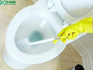 Sử dụng Javan để cọ rửa toilet