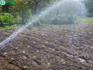 Ứng dụng trong nông nghiệp để sử dụng phân bón cho cây trồng