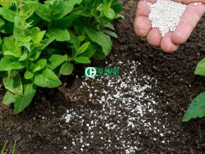 Phân bón Ladm cho cây trồng