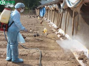 Là một chất khử trùng và khử trùng