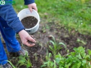 Sử dụng H2SO4 để sản xuất phân bón