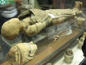 Formol trong ướp xác mẫu vật 