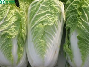 Ứng dụng formaldehyde trong bảo quản thực phẩm