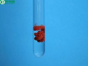 Magiê Sulfate có kết tủa không?