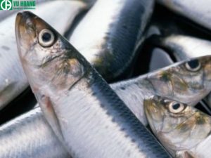 Chọn thực phẩm tươi sống 