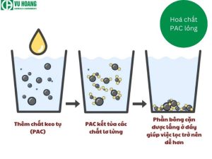 Cơ chế hoạt động của PAC