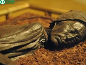 Formol được dùng để ướp xác người chết