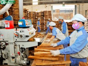 Trong chế biến gỗ và nội thất, ngoại thất