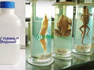 Ứng dụng ướp xác động vật