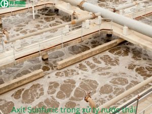 Ứng dụng trong xử lý nước thải