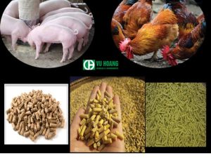 Ứng dụng MgSO4 trong chăn nuôi