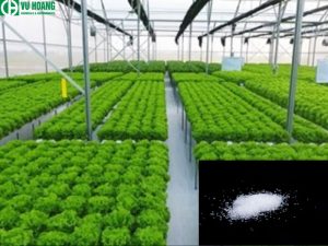 Ứng dụng MgSO4 trong nông nghiệp