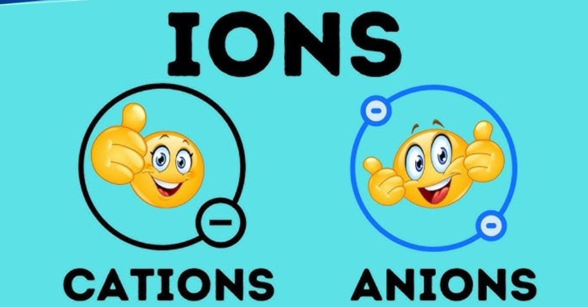 phan-biets-anion-voi-cantions