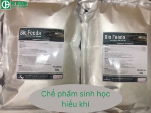 Chế phẩm sinh học hiếu khí