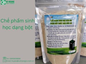 Chế phẩm sinh học dạng bột