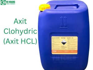 Axit clohydric (axit HCL)