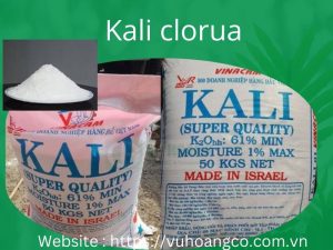Bán Kali clorua KCL giá tốt 