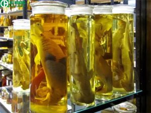 Formaldehyde dùng để ướp xác 