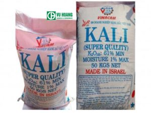 Kali clorua