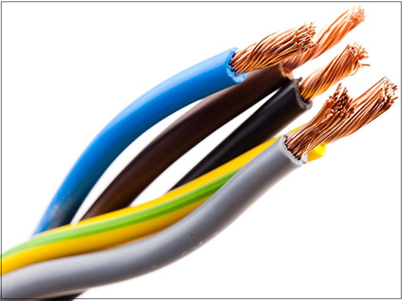 ngày-trung-tinh-la-gi 