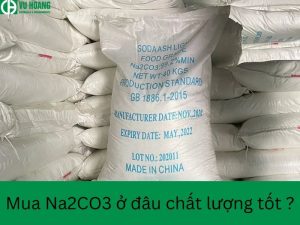 Địa chỉ uy tín mua Na2CO3 Natri cacbonat - Soda Ash Light