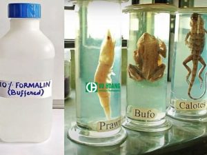 Formalin bảo quản mẫu động vật và y tế