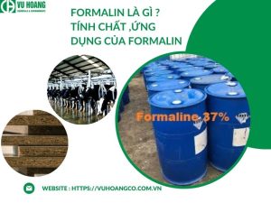 Formalin là gì? Tính chất và ứng dụng của Formalin