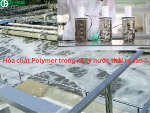 Hóa chất Polymer được sử dụng trong xử lý nước thải như thế nào?