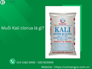 Kali clorua là gì? Ứng dụng của nó trong cuộc sống