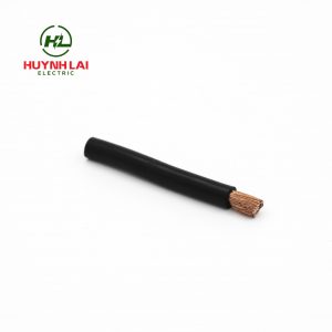 Tuyến sư tử VCM