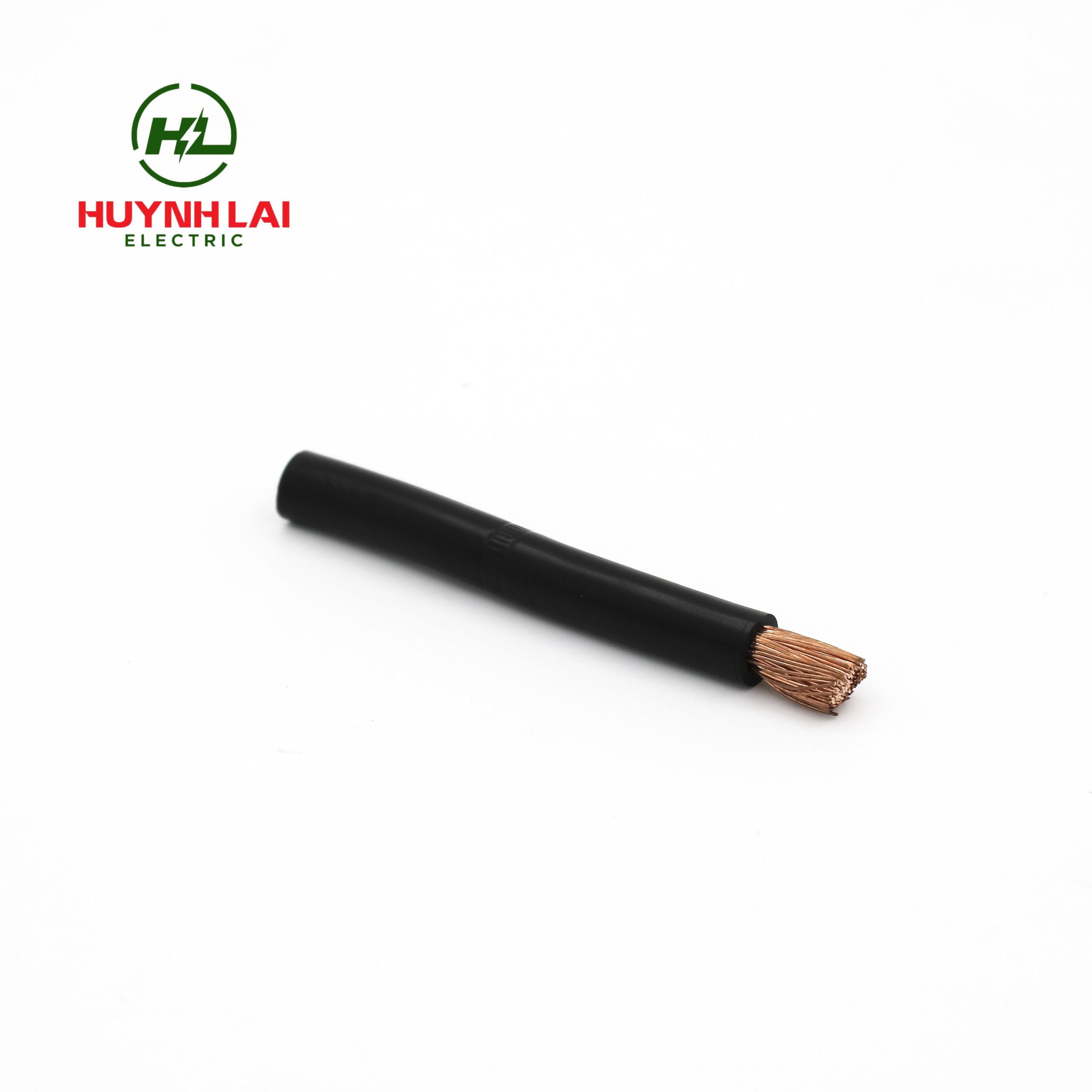 Tuyến sư tử VCM