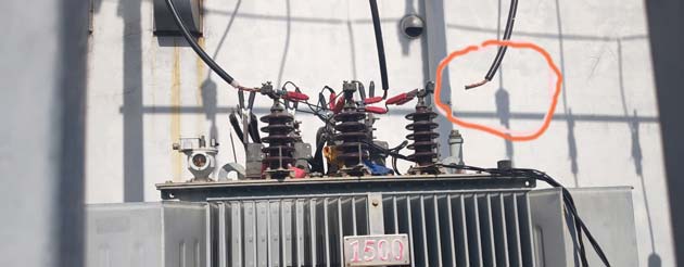 Ngày trung tính thứ 3 là gì