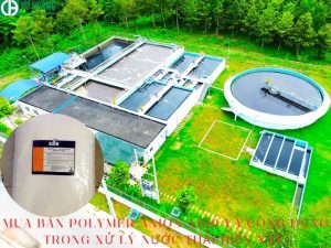 Mua bán polyme anion A1110 và công dụng của nó trong xử lý nước thải hiện nay.