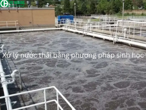Các phương pháp sinh học được sử dụng để xử lý nước thải