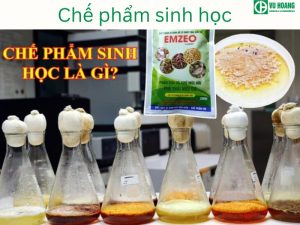 Sản phẩm sinh học