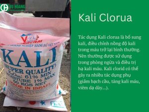 Tác dụng của Kali Clorua là gì? Ứng dụng của muối Kali Clorua trong đời sống