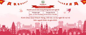 Tongbao NGH LE tỷ lệ 30,4