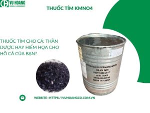 Thuốc tím cho cá: Thần kỳ hay nguy hiểm cho bể cá của bạn?