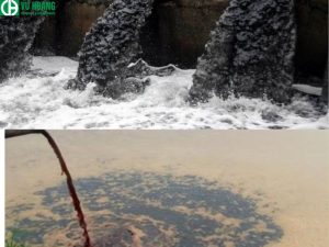 Top 5 hóa chất xử lý nước thải công nghiệp và nước thải sinh hoạt